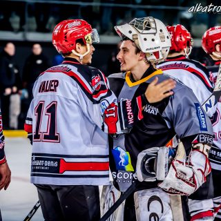 ALBATROS DE BREST VS LES BISONS DE NEUILLY SUR MARNE 05/01/2019 - © Marion BESCOND