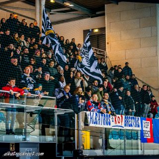 ALBATROS DE BREST VS LES BISONS DE NEUILLY SUR MARNE 05/01/2019 - © Marion BESCOND