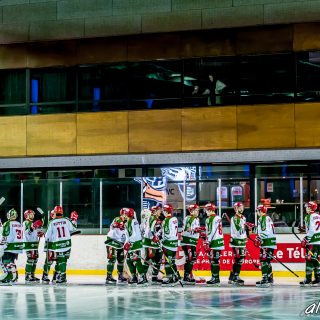 ALBATROS DE BREST VS LES JOKERS DE CERGY 12/01/2019 - © Marion BESCOND