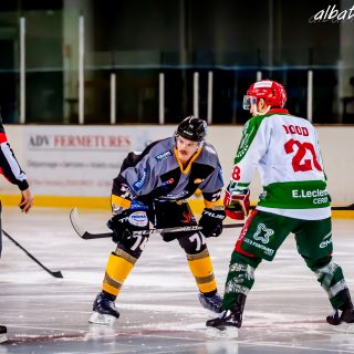 ALBATROS DE BREST VS LES JOKERS DE CERGY 12/01/2019 - © Marion BESCOND