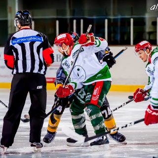ALBATROS DE BREST VS LES JOKERS DE CERGY 12/01/2019 - © Marion BESCOND