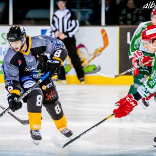 ALBATROS DE BREST VS LES JOKERS DE CERGY 12/01/2019 - © Marion BESCOND