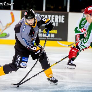 ALBATROS DE BREST VS LES JOKERS DE CERGY 12/01/2019 - © Marion BESCOND