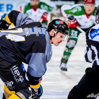 ALBATROS DE BREST VS LES JOKERS DE CERGY 12/01/2019 - © Marion BESCOND