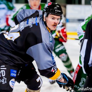 ALBATROS DE BREST VS LES JOKERS DE CERGY 12/01/2019 - © Marion BESCOND