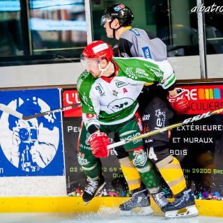 ALBATROS DE BREST VS LES JOKERS DE CERGY 12/01/2019 - © Marion BESCOND