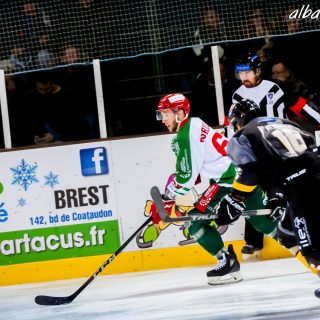 ALBATROS DE BREST VS LES JOKERS DE CERGY 12/01/2019 - © Marion BESCOND