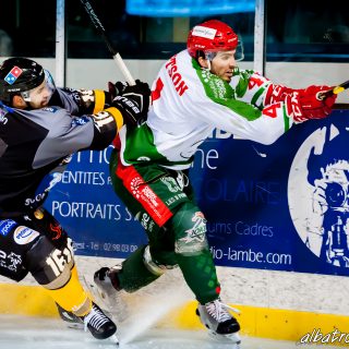 ALBATROS DE BREST VS LES JOKERS DE CERGY 12/01/2019 - © Marion BESCOND