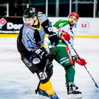 ALBATROS DE BREST VS LES JOKERS DE CERGY 12/01/2019 - © Marion BESCOND