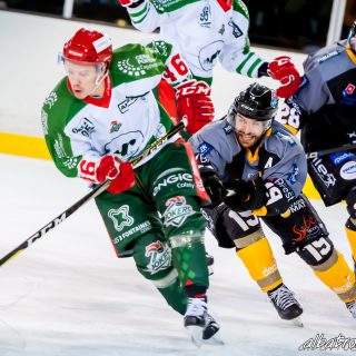 ALBATROS DE BREST VS LES JOKERS DE CERGY 12/01/2019 - © Marion BESCOND