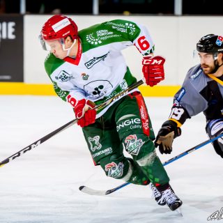 ALBATROS DE BREST VS LES JOKERS DE CERGY 12/01/2019 - © Marion BESCOND