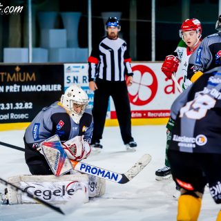 ALBATROS DE BREST VS LES JOKERS DE CERGY 12/01/2019 - © Marion BESCOND