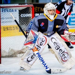 ALBATROS DE BREST VS LES JOKERS DE CERGY 12/01/2019 - © Marion BESCOND