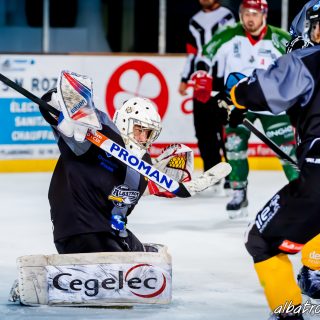 ALBATROS DE BREST VS LES JOKERS DE CERGY 12/01/2019 - © Marion BESCOND