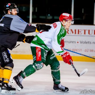 ALBATROS DE BREST VS LES JOKERS DE CERGY 12/01/2019 - © Marion BESCOND
