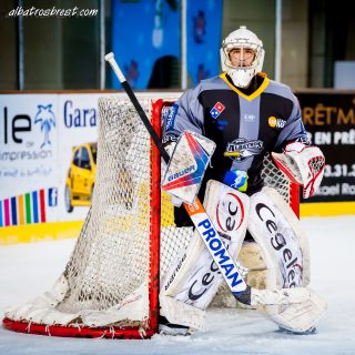 ALBATROS DE BREST VS LES JOKERS DE CERGY 12/01/2019 - © Marion BESCOND