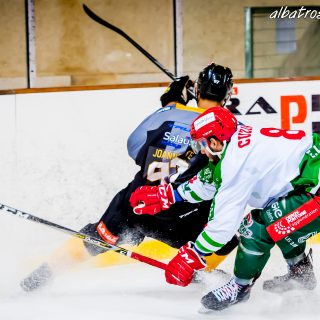 ALBATROS DE BREST VS LES JOKERS DE CERGY 12/01/2019 - © Marion BESCOND