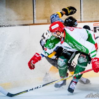 ALBATROS DE BREST VS LES JOKERS DE CERGY 12/01/2019 - © Marion BESCOND