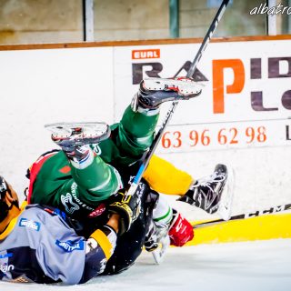ALBATROS DE BREST VS LES JOKERS DE CERGY 12/01/2019 - © Marion BESCOND