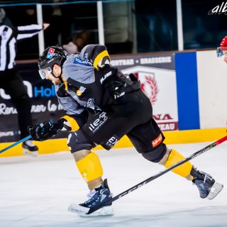 ALBATROS DE BREST VS LES JOKERS DE CERGY 12/01/2019 - © Marion BESCOND