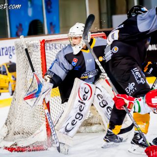 ALBATROS DE BREST VS LES JOKERS DE CERGY 12/01/2019 - © Marion BESCOND