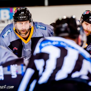 ALBATROS DE BREST VS LES JOKERS DE CERGY 12/01/2019 - © Marion BESCOND