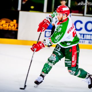 ALBATROS DE BREST VS LES JOKERS DE CERGY 12/01/2019 - © Marion BESCOND