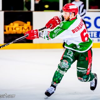 ALBATROS DE BREST VS LES JOKERS DE CERGY 12/01/2019 - © Marion BESCOND