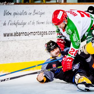 ALBATROS DE BREST VS LES JOKERS DE CERGY 12/01/2019 - © Marion BESCOND