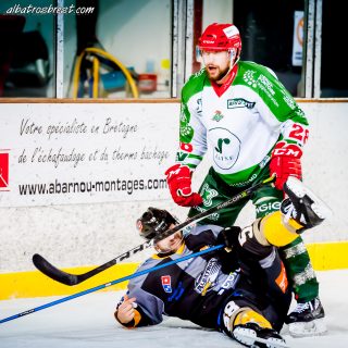 ALBATROS DE BREST VS LES JOKERS DE CERGY 12/01/2019 - © Marion BESCOND