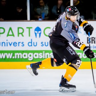 ALBATROS DE BREST VS LES JOKERS DE CERGY 12/01/2019 - © Marion BESCOND