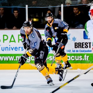ALBATROS DE BREST VS LES JOKERS DE CERGY 12/01/2019 - © Marion BESCOND