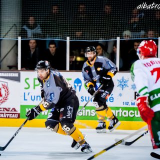 ALBATROS DE BREST VS LES JOKERS DE CERGY 12/01/2019 - © Marion BESCOND