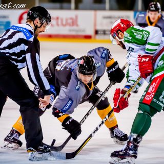 ALBATROS DE BREST VS LES JOKERS DE CERGY 12/01/2019 - © Marion BESCOND