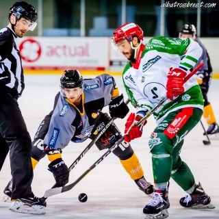 ALBATROS DE BREST VS LES JOKERS DE CERGY 12/01/2019 - © Marion BESCOND