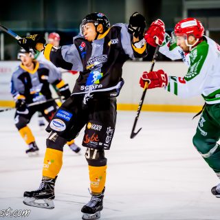 ALBATROS DE BREST VS LES JOKERS DE CERGY 12/01/2019 - © Marion BESCOND