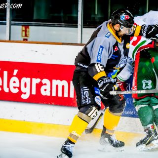 ALBATROS DE BREST VS LES JOKERS DE CERGY 12/01/2019 - © Marion BESCOND