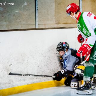 ALBATROS DE BREST VS LES JOKERS DE CERGY 12/01/2019 - © Marion BESCOND