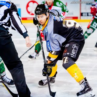 ALBATROS DE BREST VS LES JOKERS DE CERGY 12/01/2019 - © Marion BESCOND