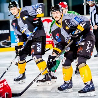 ALBATROS DE BREST VS LES JOKERS DE CERGY 12/01/2019 - © Marion BESCOND