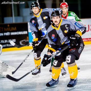 ALBATROS DE BREST VS LES JOKERS DE CERGY 12/01/2019 - © Marion BESCOND