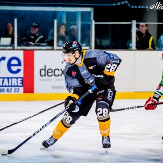 ALBATROS DE BREST VS LES JOKERS DE CERGY 12/01/2019 - © Marion BESCOND