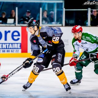 ALBATROS DE BREST VS LES JOKERS DE CERGY 12/01/2019 - © Marion BESCOND