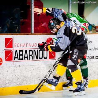 ALBATROS DE BREST VS LES JOKERS DE CERGY 12/01/2019 - © Marion BESCOND