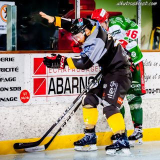 ALBATROS DE BREST VS LES JOKERS DE CERGY 12/01/2019 - © Marion BESCOND