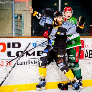 ALBATROS DE BREST VS LES JOKERS DE CERGY 12/01/2019 - © Marion BESCOND