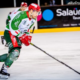 ALBATROS DE BREST VS LES JOKERS DE CERGY 12/01/2019 - © Marion BESCOND
