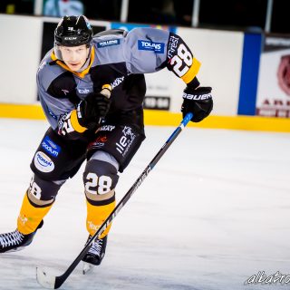 ALBATROS DE BREST VS LES JOKERS DE CERGY 12/01/2019 - © Marion BESCOND