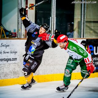 ALBATROS DE BREST VS LES JOKERS DE CERGY 12/01/2019 - © Marion BESCOND