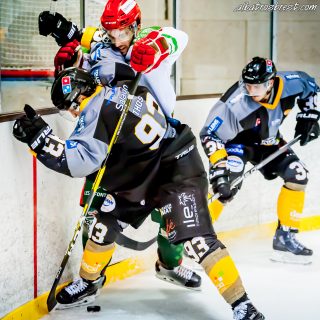 ALBATROS DE BREST VS LES JOKERS DE CERGY 12/01/2019 - © Marion BESCOND